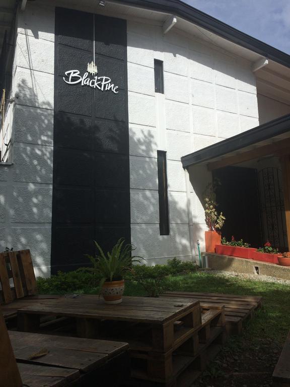 Blackpine Hostel Medellin Ngoại thất bức ảnh