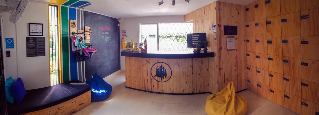 Blackpine Hostel Medellin Ngoại thất bức ảnh