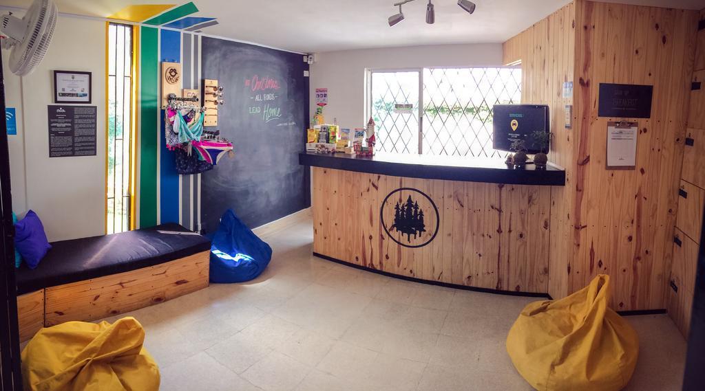 Blackpine Hostel Medellin Ngoại thất bức ảnh