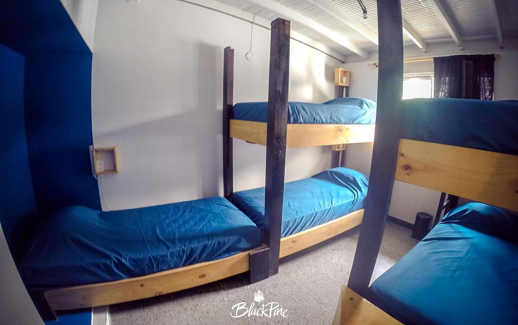 Blackpine Hostel Medellin Ngoại thất bức ảnh