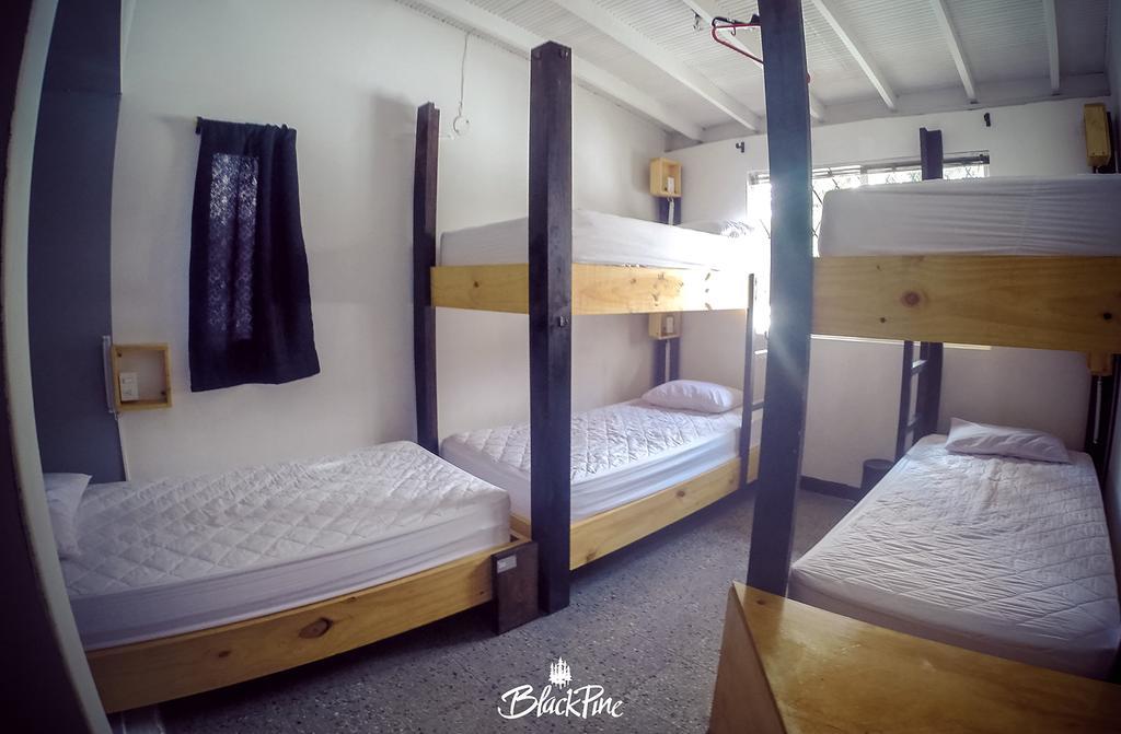 Blackpine Hostel Medellin Ngoại thất bức ảnh