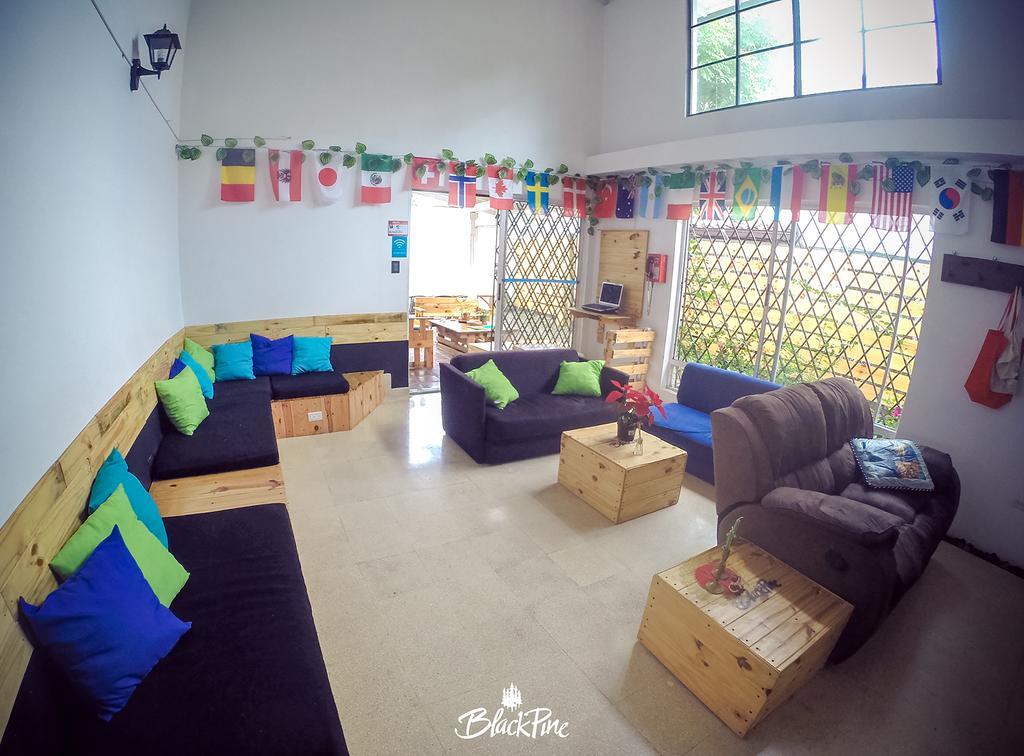 Blackpine Hostel Medellin Ngoại thất bức ảnh