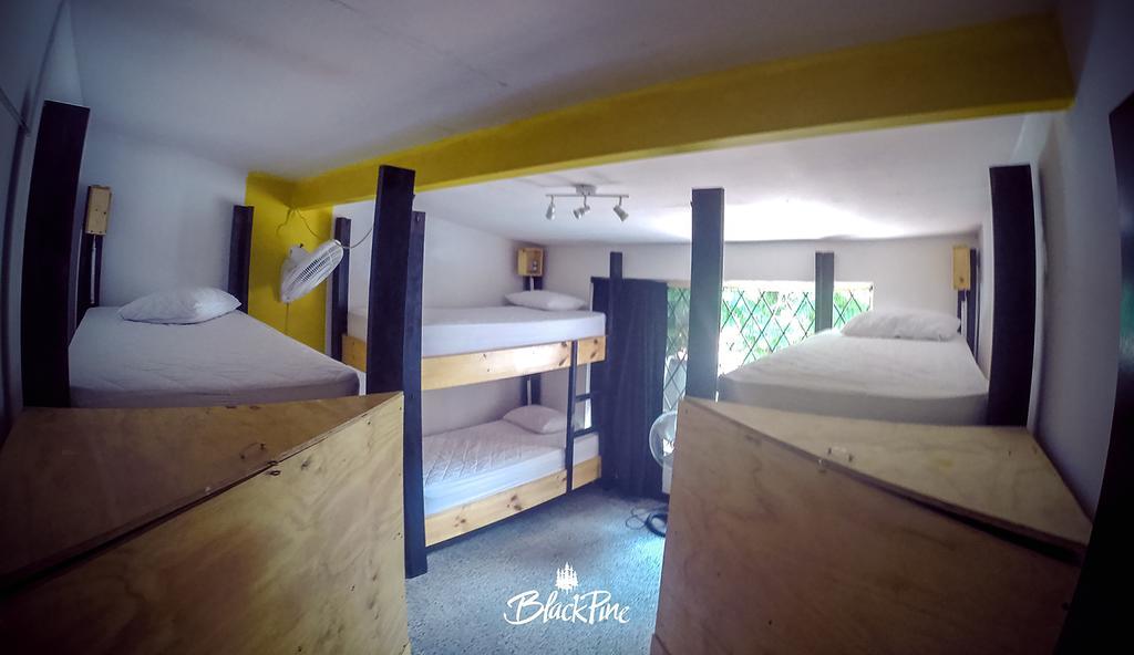 Blackpine Hostel Medellin Ngoại thất bức ảnh