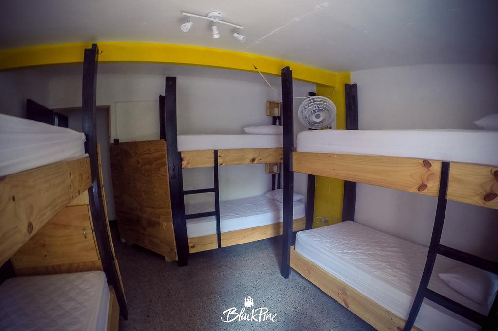 Blackpine Hostel Medellin Ngoại thất bức ảnh
