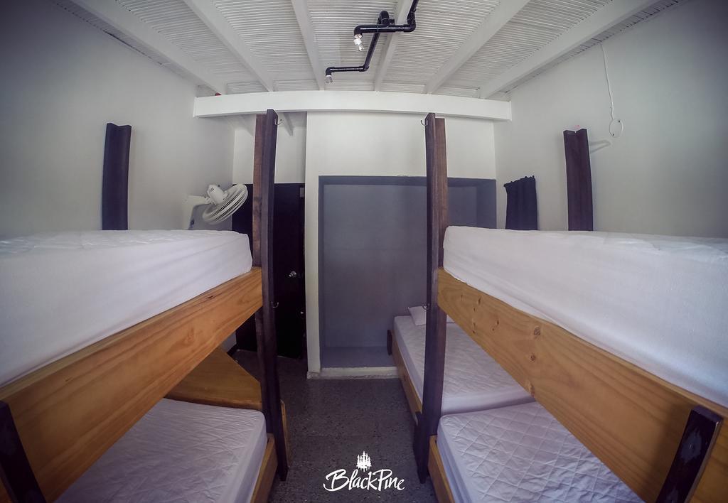Blackpine Hostel Medellin Ngoại thất bức ảnh