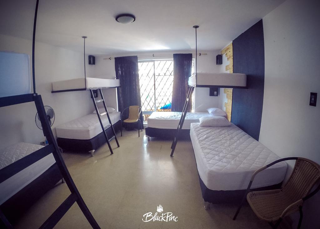 Blackpine Hostel Medellin Ngoại thất bức ảnh