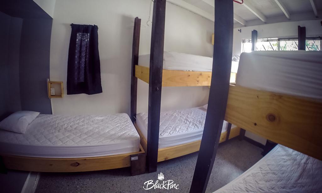 Blackpine Hostel Medellin Ngoại thất bức ảnh