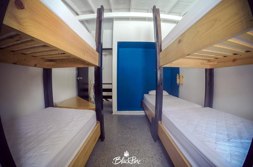 Blackpine Hostel Medellin Ngoại thất bức ảnh